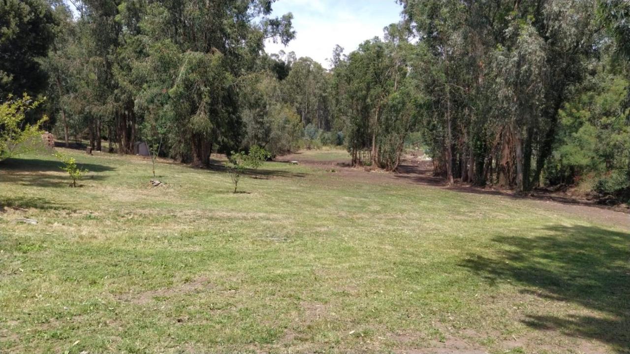 El Bosque De Las Animas Villa Tandil Buitenkant foto
